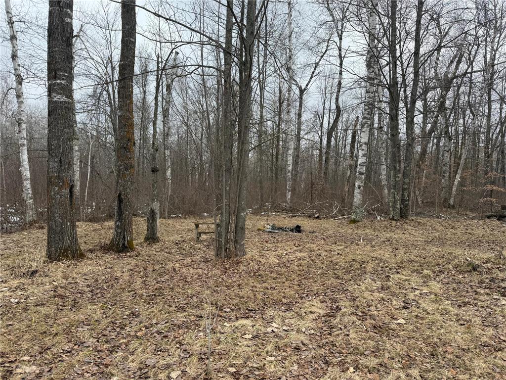 61613 Park Hills Road Park Twp MN 55712 7045902 image14