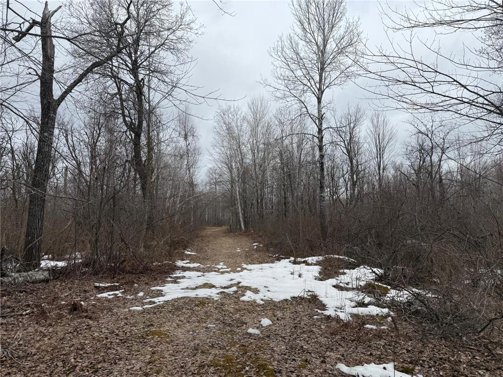 61613 Park Hills Road Park Twp MN 55712 7045902 image16
