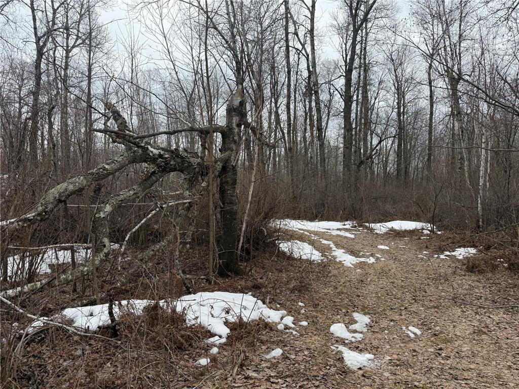 61613 Park Hills Road Park Twp MN 55712 7045902 image17