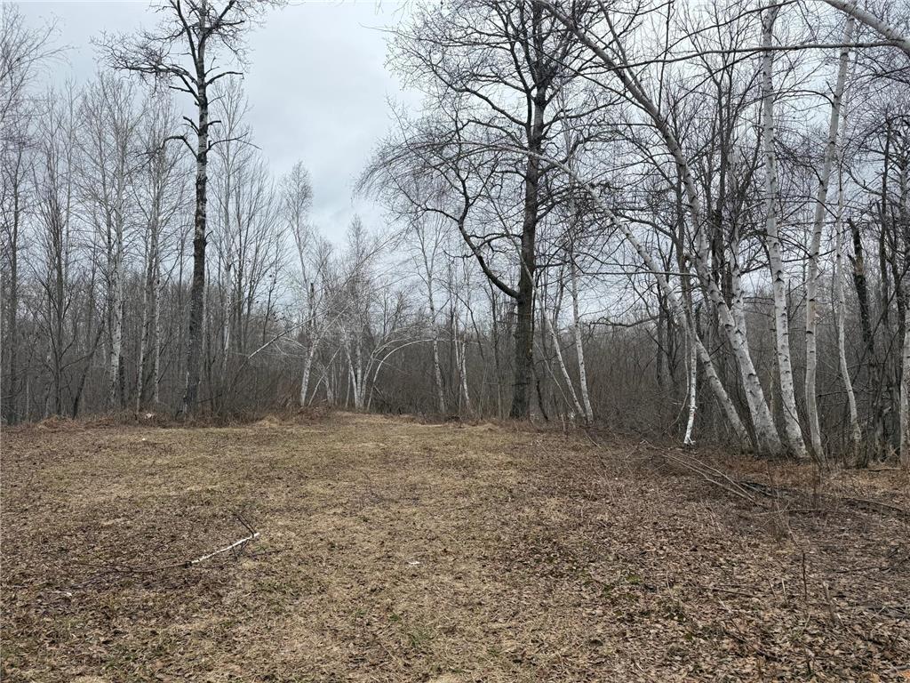 61613 Park Hills Road Park Twp MN 55712 7045902 image18