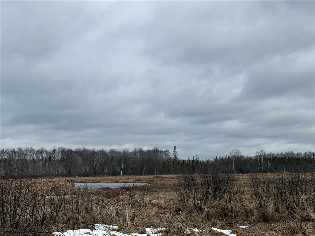 61613 Park Hills Road Park Twp MN 55712 7045902 image34