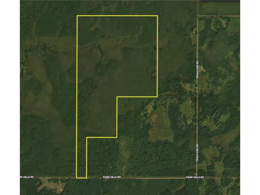 61613 Park Hills Road Park Twp MN 55712 7045902 image44