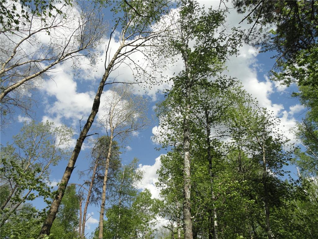 6165 Voyageurs Trail Biwabik MN 55708 - Wynne 7000493 image15