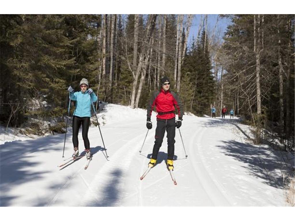 6165 Voyageurs Trail Biwabik MN 55708 - Wynne 7000493 image36