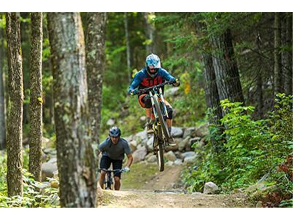 6165 Voyageurs Trail Biwabik MN 55708 - Wynne 7000493 image38