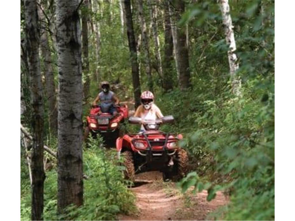 6165 Voyageurs Trail Biwabik MN 55708 - Wynne 7000493 image44