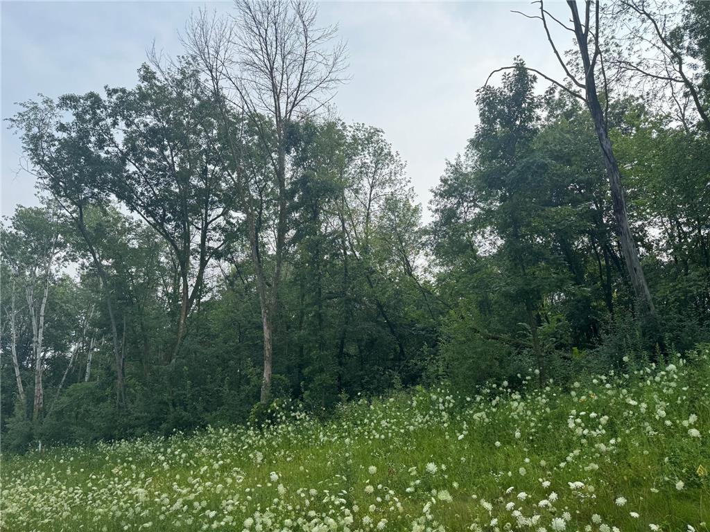 6167 Lake Drive Prior Lake MN 55372 - Kane Lake 6794983 image1