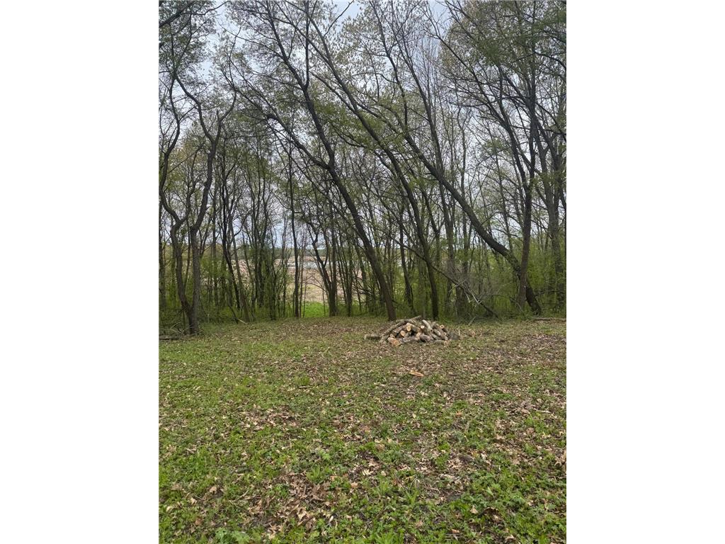 6167 Lake Drive Prior Lake MN 55372 - Kane Lake 7073304 image3