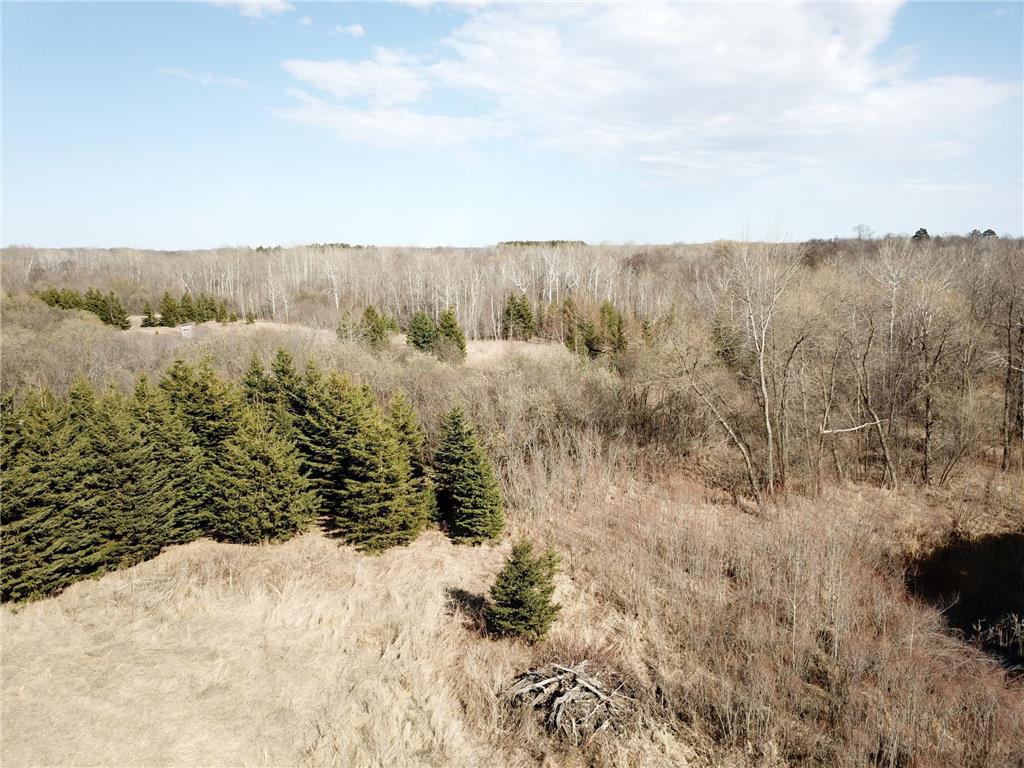 61684 E 260th Street Hewitt MN 56453 6633571 image31