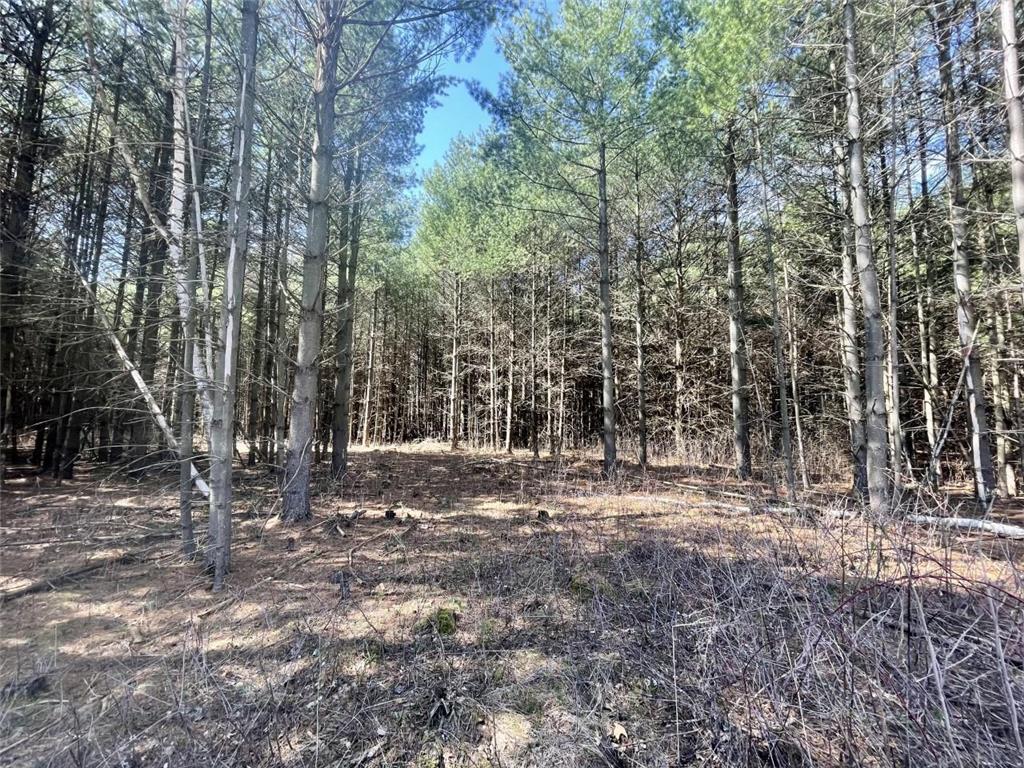 617 193rd Avenue Somerset Twp WI 54025 - Apple River 6328281 image1