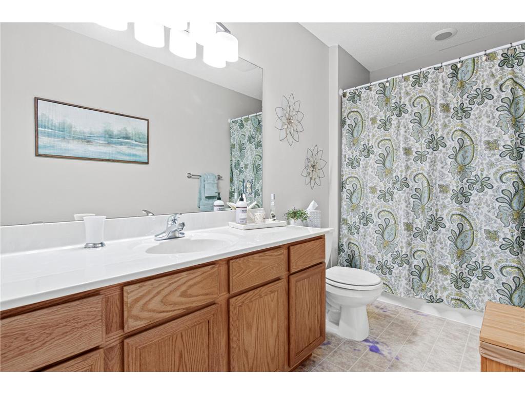 617 86th Lane NW Coon Rapids MN 55433 7084086 image13