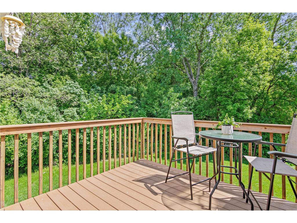 617 86th Lane NW Coon Rapids MN 55433 7084086 image15