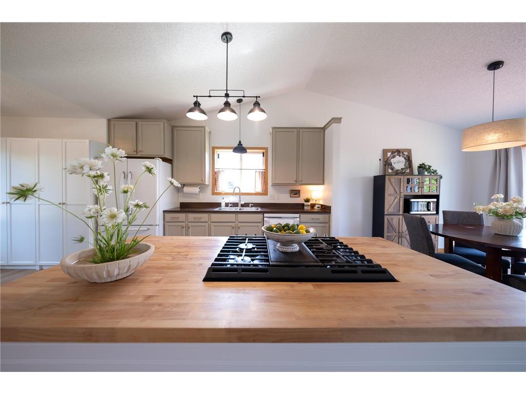 617 Emerson Avenue N Montrose MN 55363 7109383 image8