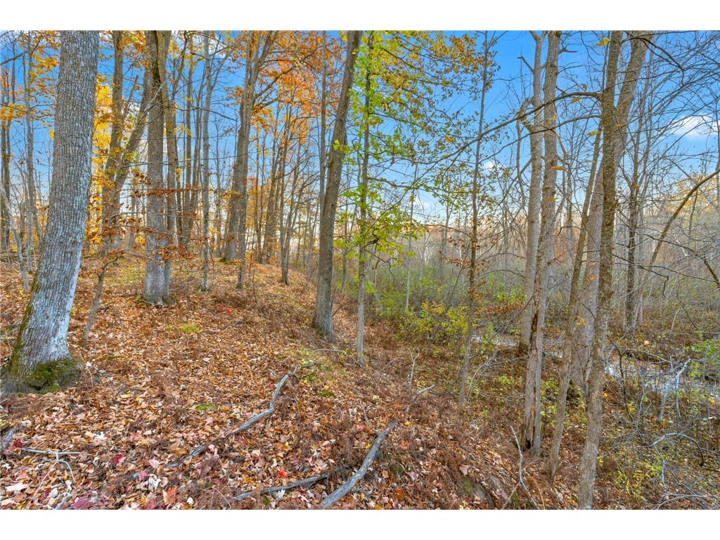 61711 Lower Tamarack Road, Bruno, MN, 55712 MLS 6618700 Edina Realty