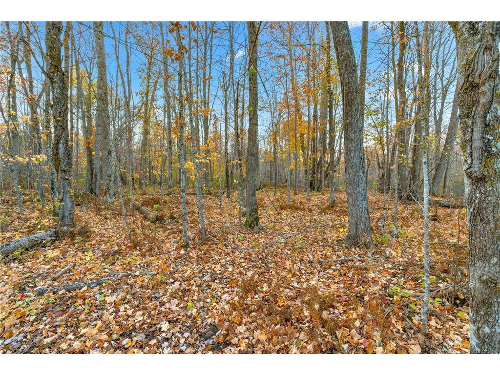 61711 Lower Tamarack Road, Bruno, MN, 55712 MLS 6618700 Edina Realty