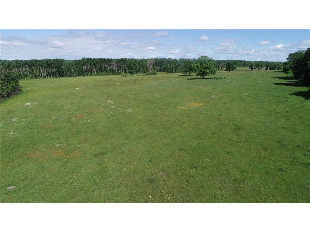 6172 76th Street SW Motley MN 56466 7064410 image10
