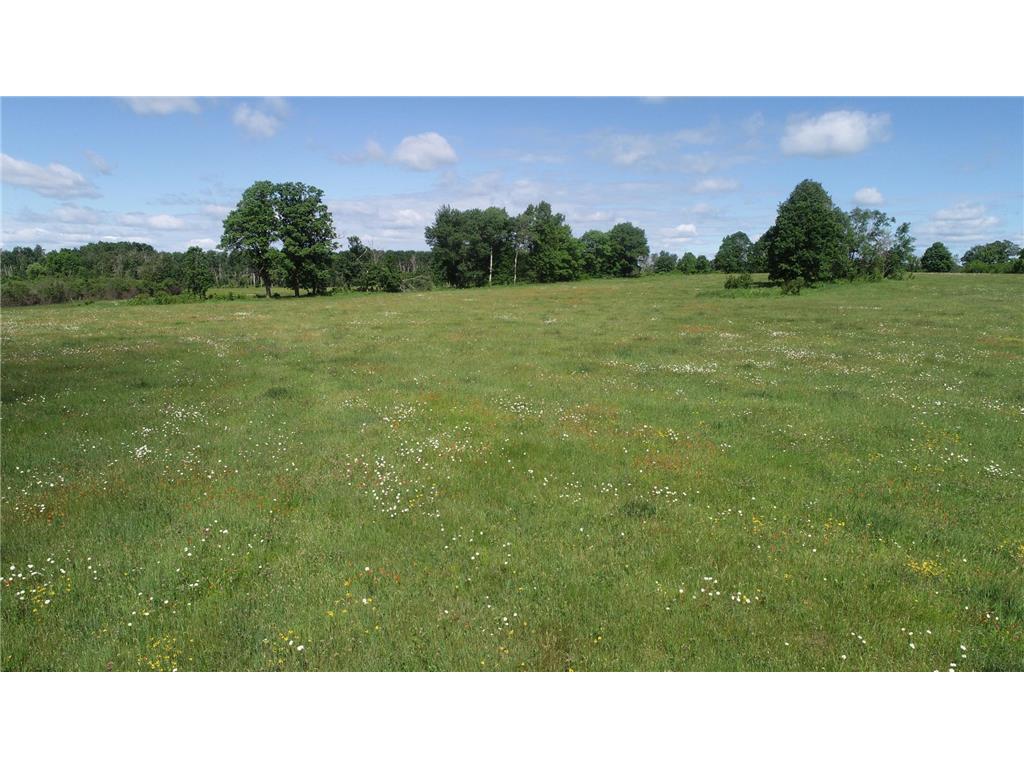 6172 76th Street SW Motley MN 56466 7064410 image4