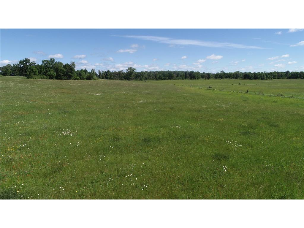 6172 76th Street SW Motley MN 56466 7064410 image6