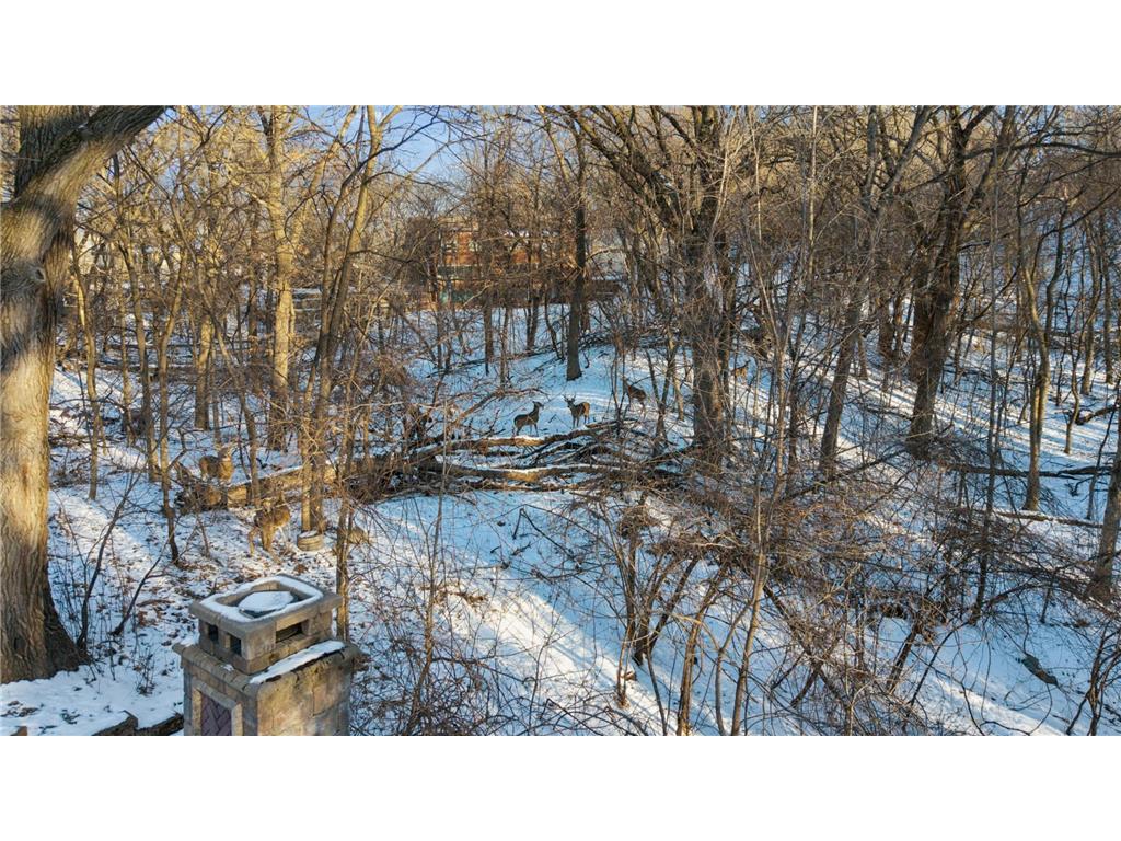6175 Heather Place NE Fridley MN 55432 7023748 image78