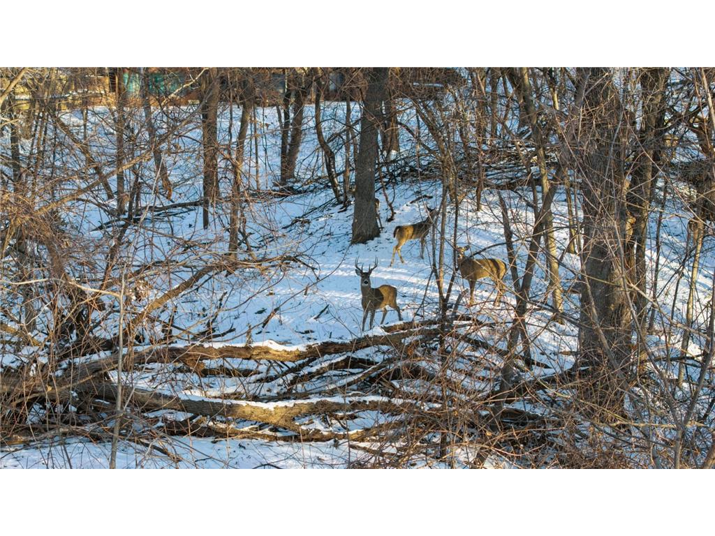 6175 Heather Place NE Fridley MN 55432 7023748 image79