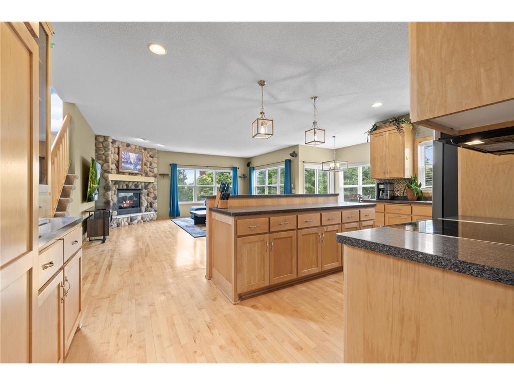 618 Tupelo Way Chaska MN 55318 7081694 image16