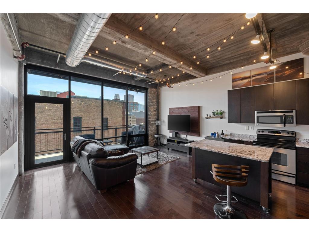 618 Washington Ave N #502 Minneapolis MN 55401 7077682 image1
