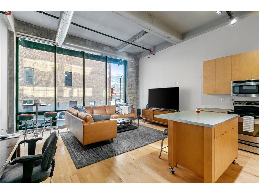 618 Washington Avenue N #202 Minneapolis MN 55401 6347714 image1