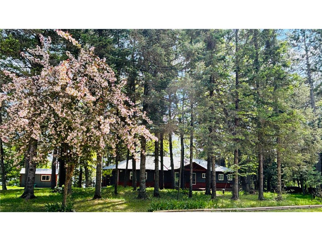 6189 Woods Bay Drive NE Outing MN 56662 - Roosevelt 7063963 image50