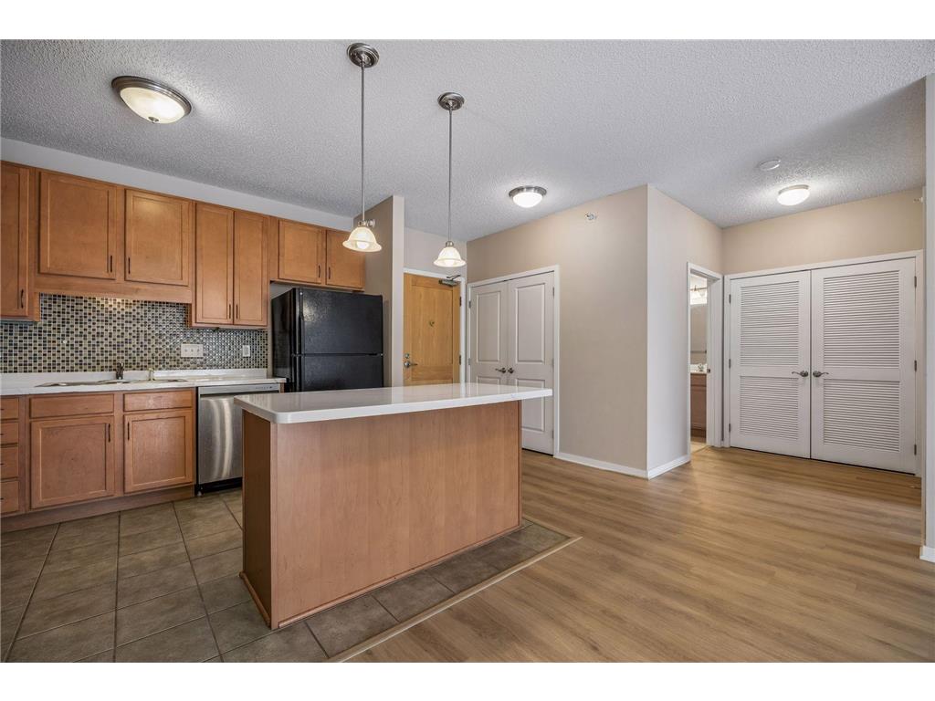 619 8th Street SE #211 Minneapolis MN 55414 7055462 image25