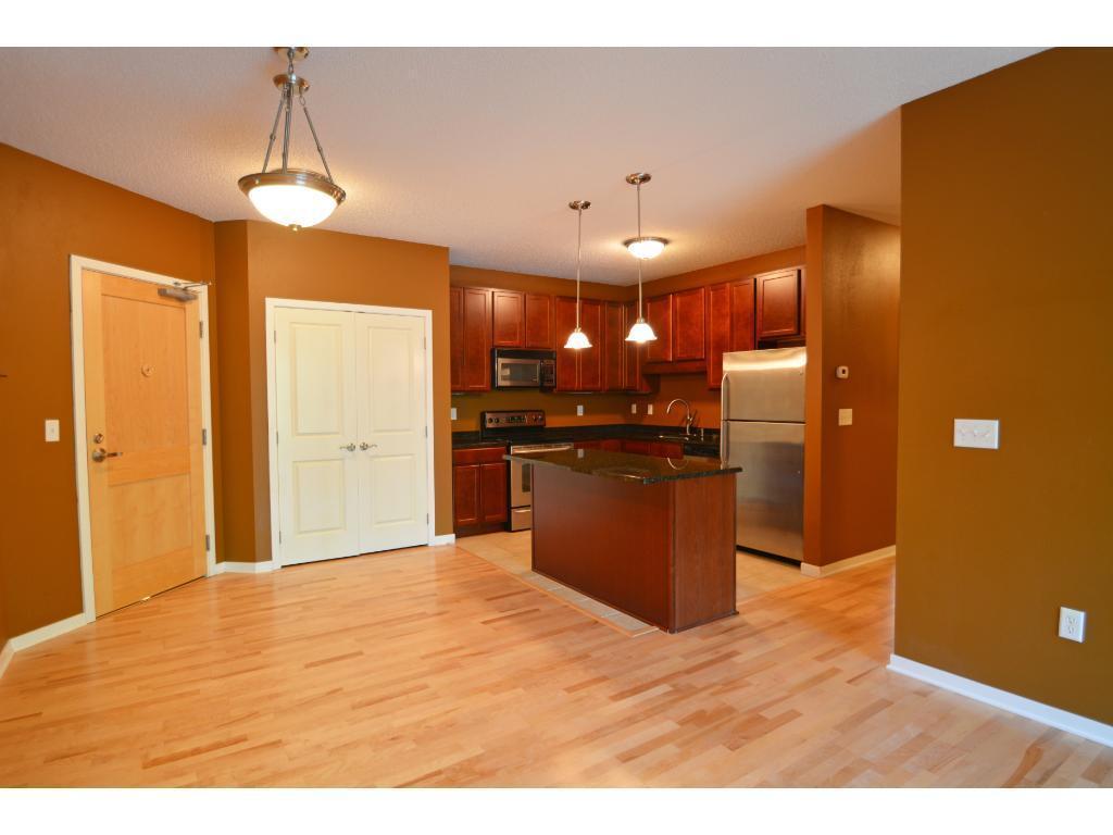 619 8th Street SE #309 Minneapolis MN 55414 7105308 image10