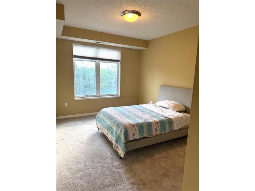 619 8th Street SE #409 Minneapolis MN 55414 6777452 image19