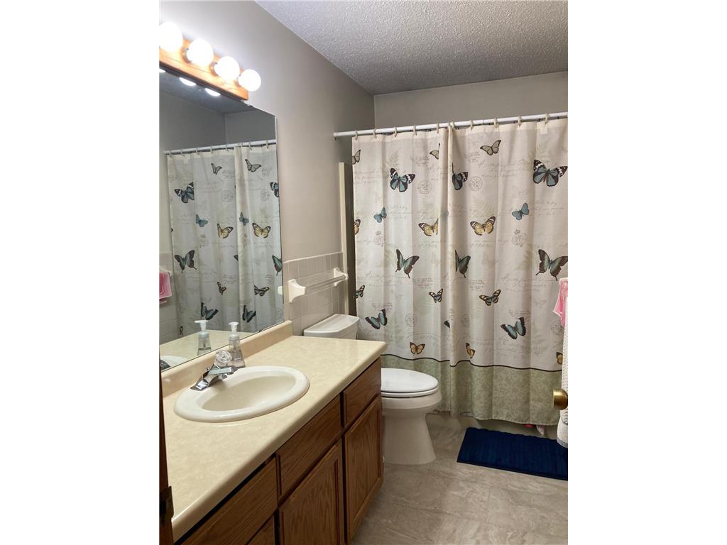 619 Chalet Drive NW Rochester MN 55901 7084911 image9
