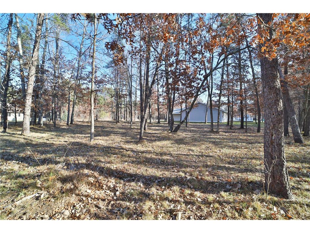 6195 Cosmos Road Baxter MN 56425 6818036 image41