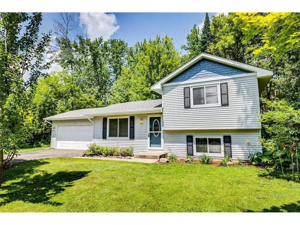 6204 Oak Street, North Branch, MN, 55056 MLS 6398808 Edina Realty