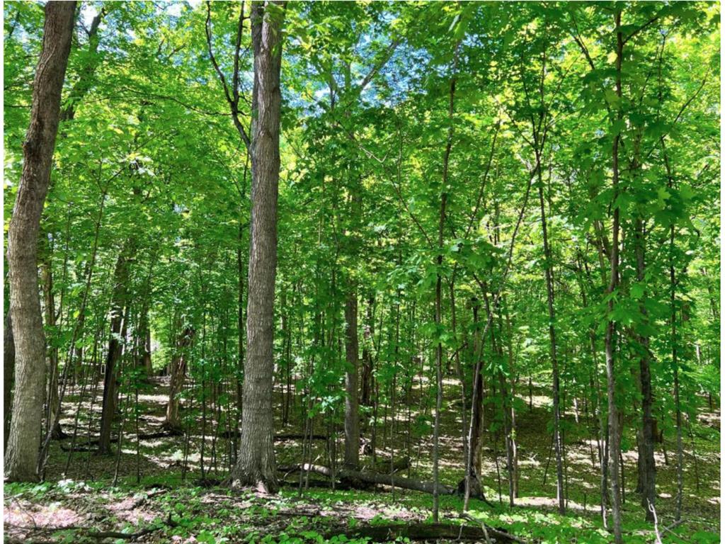 621 Fox Hill Drive Chanhassen MN 55317 6722150 image1