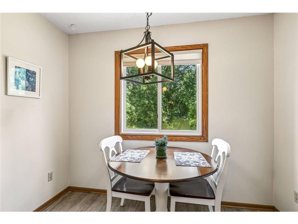 6210 Magda Drive #A Maple Grove MN 55369 7086593 image16