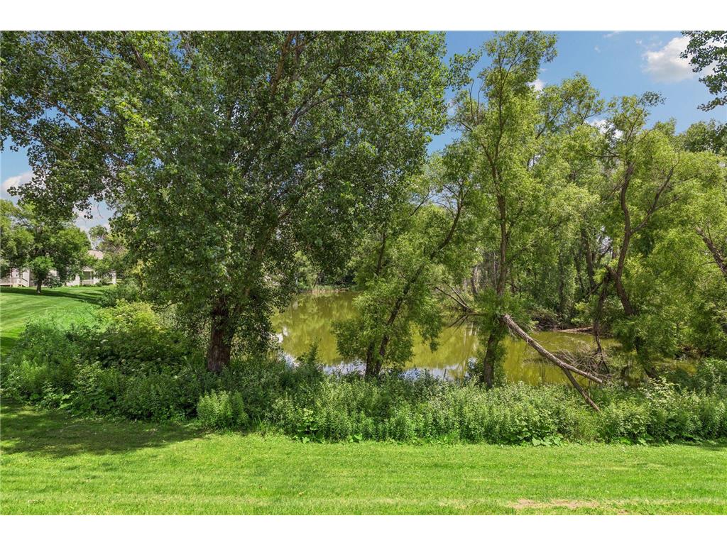 6210 Magda Drive #A Maple Grove MN 55369 7086593 image28