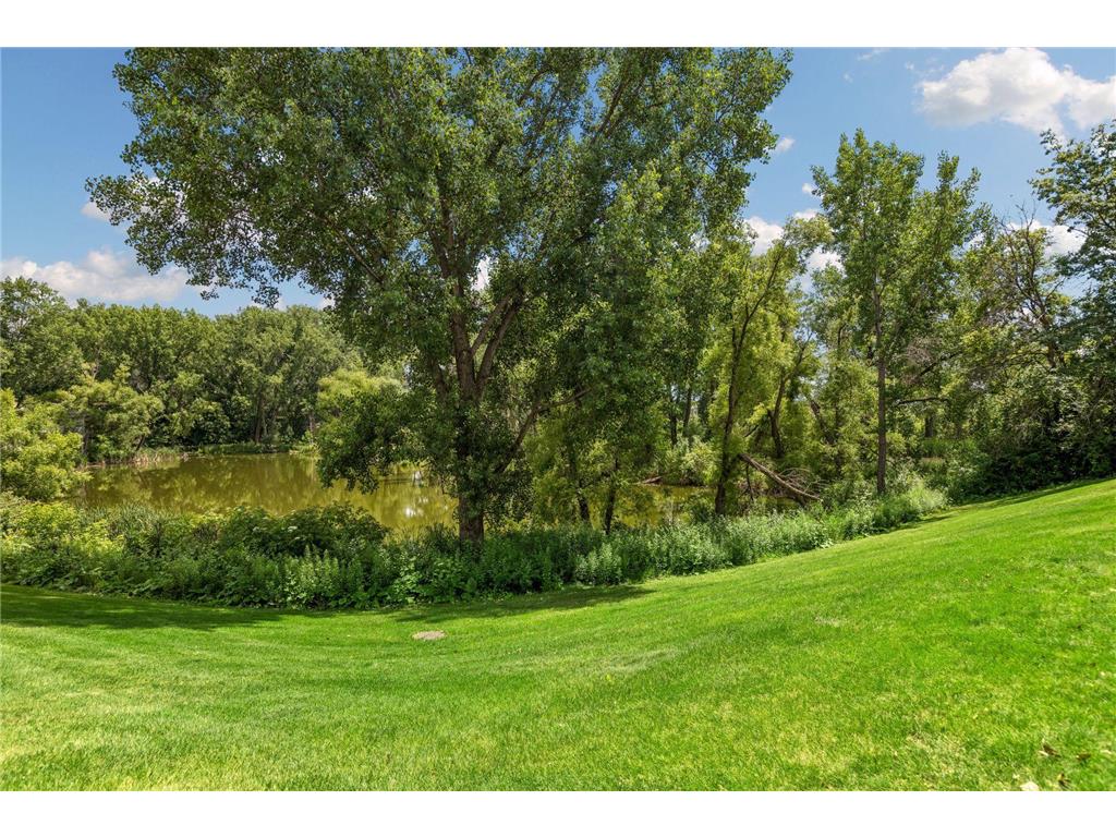 6210 Magda Drive #A Maple Grove MN 55369 7086593 image29