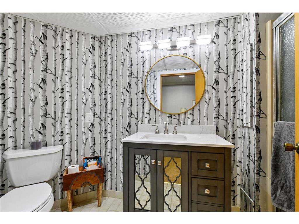 6220 Barberry Circle Chanhassen MN 55331 - Minnewashta 7080449 image45