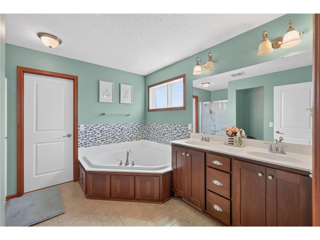 6220 Homestead Avenue S Cottage Grove MN 55016 7098817 image18