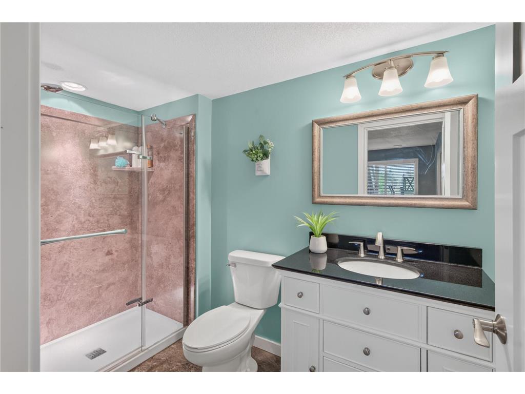 6220 Homestead Avenue S Cottage Grove MN 55016 7098817 image26