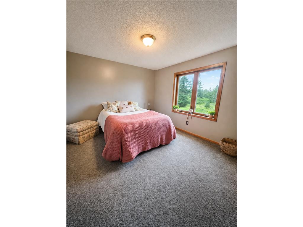 6221 Townsview Lane SE Marion Twp MN 55904 7044585 image24