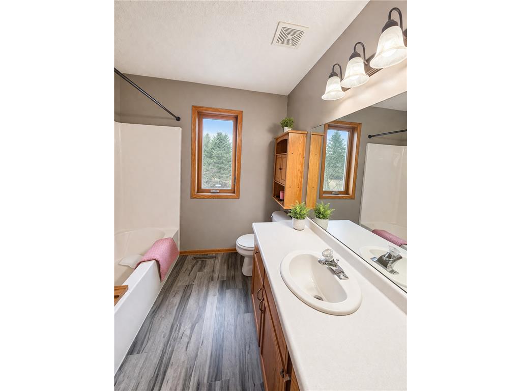 6221 Townsview Lane SE Marion Twp MN 55904 7044585 image26