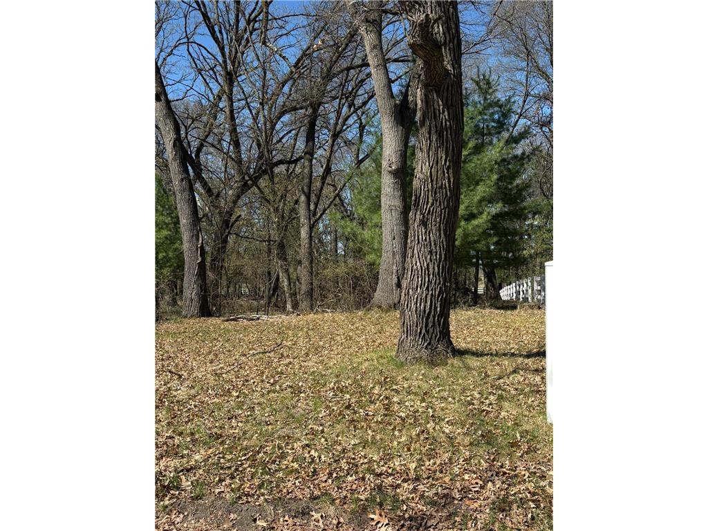 6222 Fawn Lake Drive NE Stacy MN 55079 7060033 image4