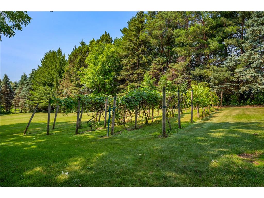 6223 Elm Ridge Circle Corcoran MN 55340 7103015 image38