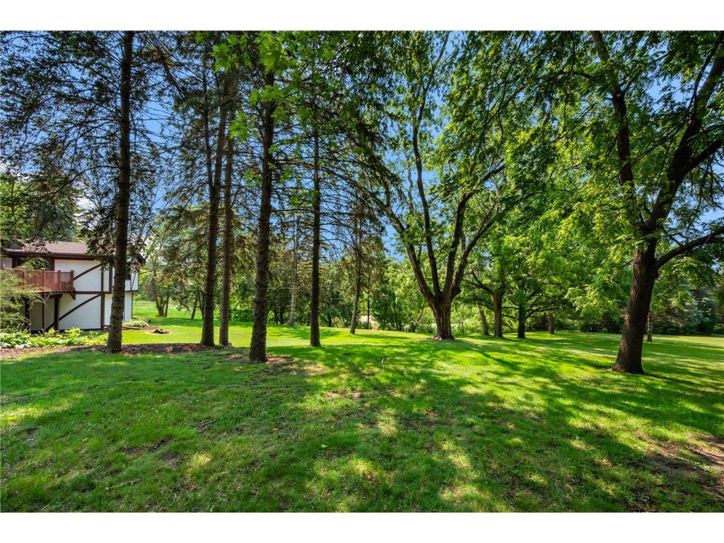 6223 Elm Ridge Circle Corcoran MN 55340 7103015 image39