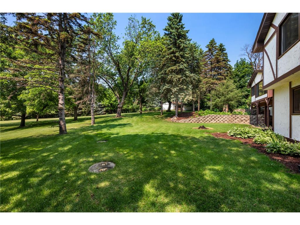 6223 Elm Ridge Circle Corcoran MN 55340 7103015 image40