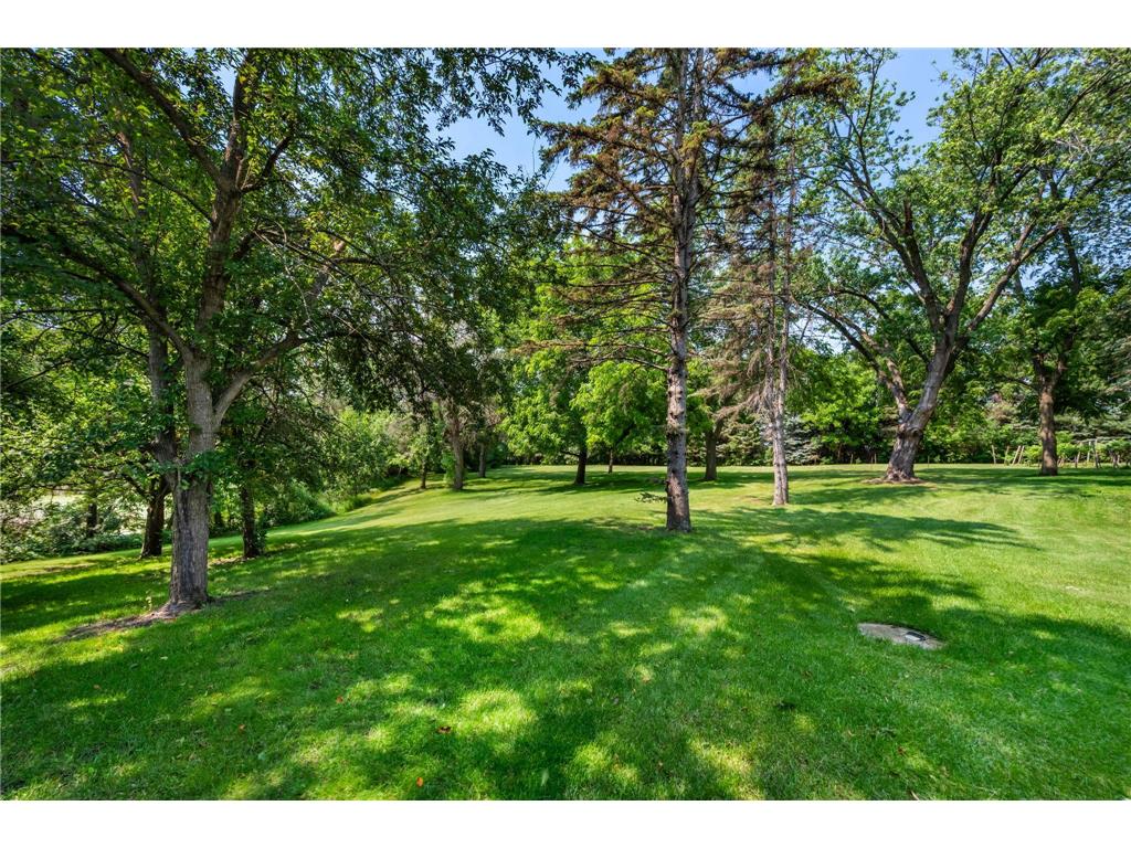 6223 Elm Ridge Circle Corcoran MN 55340 7103015 image41