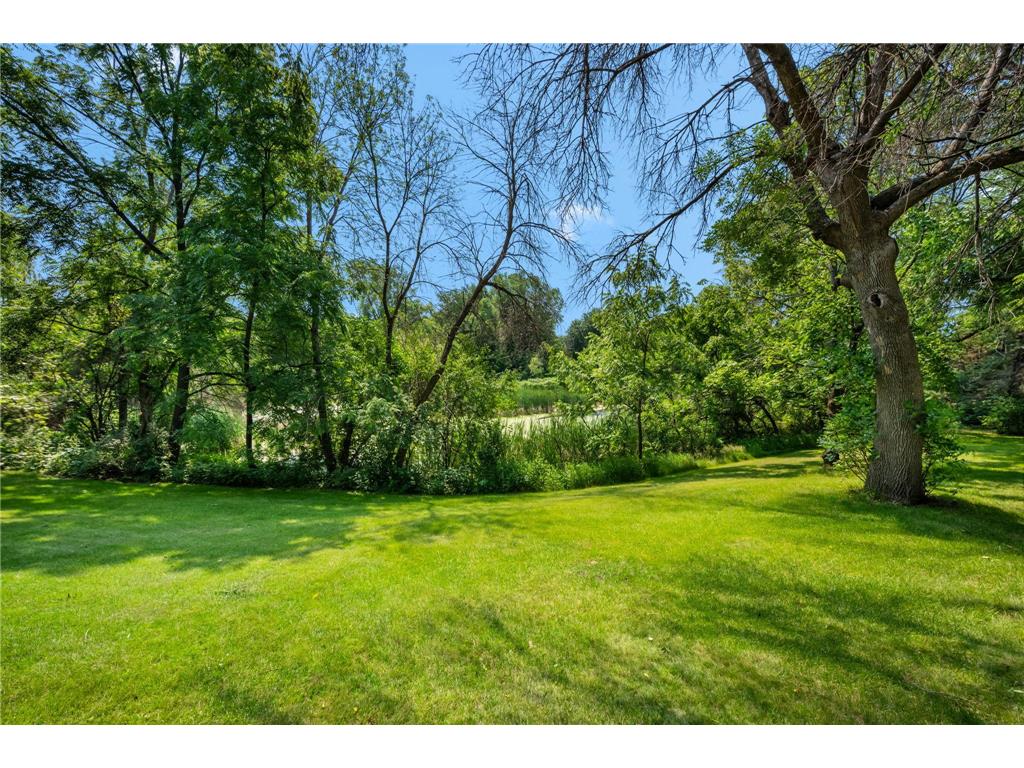 6223 Elm Ridge Circle Corcoran MN 55340 7103015 image42