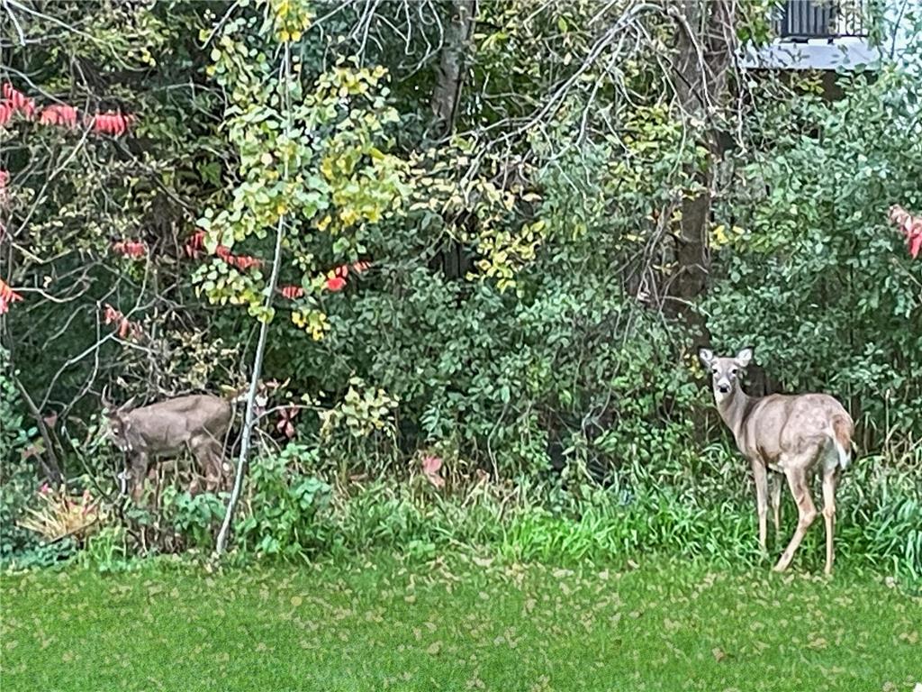 6230 Boulder Ridge Drive Rockford MN 55373 7025093 image16